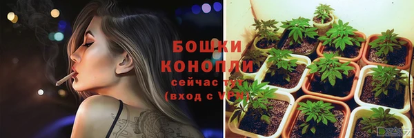 стаф Заволжск