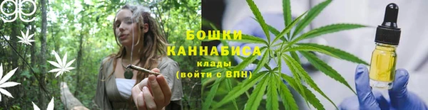 стаф Заволжск