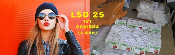 ПСИЛОЦИБИНОВЫЕ ГРИБЫ Заводоуковск