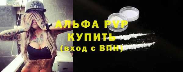 ПСИЛОЦИБИНОВЫЕ ГРИБЫ Заводоуковск