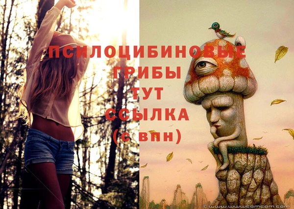 стаф Заволжск