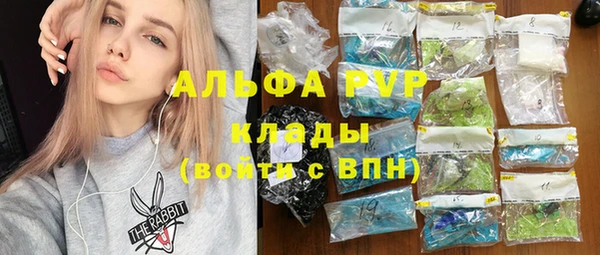 стаф Заволжск