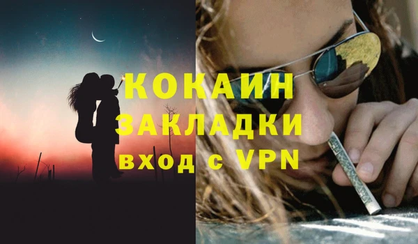 ПСИЛОЦИБИНОВЫЕ ГРИБЫ Заводоуковск