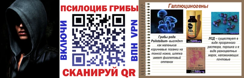 Купить  Карталы  Галлюциногенные грибы ЛСД 